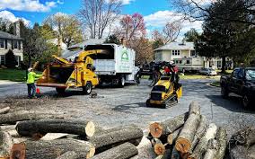 Best Lawn Maintenance Plans  in Lynden, WA
